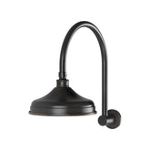Phoenix Nostalgia Vintage Shower Arm and Rose Antique Black
